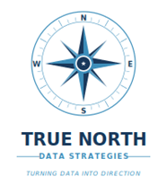True North Data Strategies logo